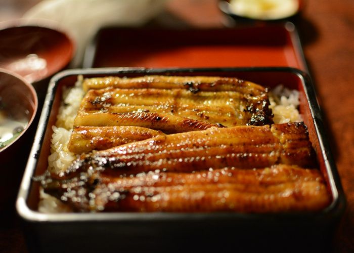 Eel donburi, where a grilled, sauce-smothered eel is laid on a bed of rice.